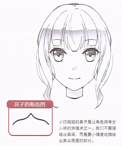 漫画鼻子怎么画?简易讲解漫画男女鼻子的画法差异!