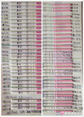 12.20pl--lh试纸周期变化对比和b超同步情况
