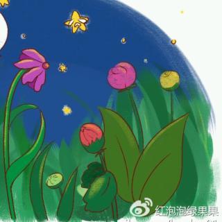 大自然幼儿园倩倩老师讲故事《流星花》