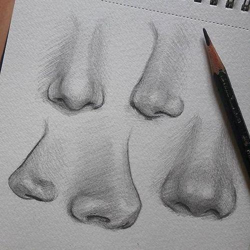 素描鼻子的具体画法