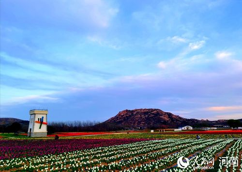 驻马店嵖岈山郁金香花开欢声笑语
