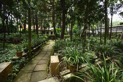 广州兰圃兰花展之——兰圃随拍(2)