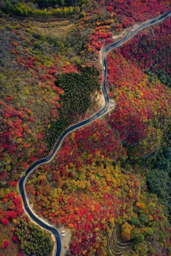 风景名胜看博山(秋韵篇)——鲁商红叶柿岩景区