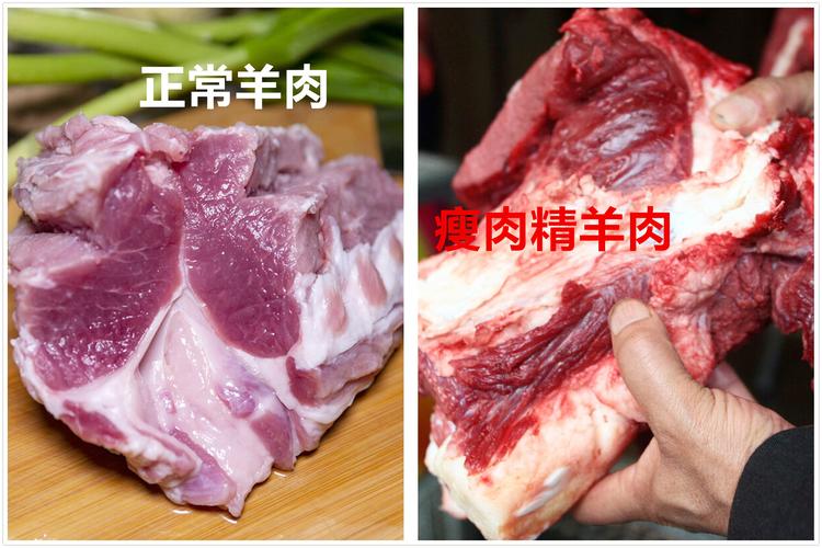 315晚会爆"瘦肉精羊肉",羊肉记住"3不买",购买时多谨慎