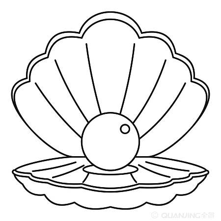 珍珠插画珍珠贝壳儿童画图片珍珠贝壳儿童绘画图集贝壳珍珠简笔画带