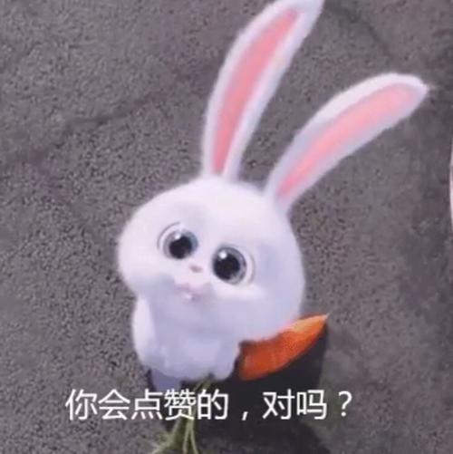 这个大眼睛的兔子是谁?