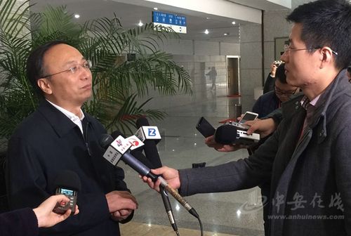 亳州市委书记汪一光在接受媒体记者采访.