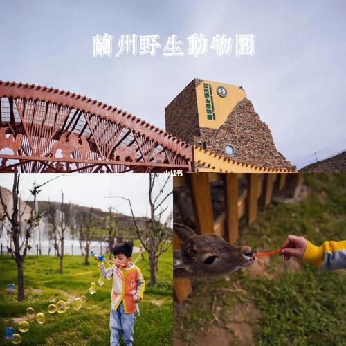 兰州亲子|兰州野生动物园|附攻略_火车_亲子_羊驼_景点_动物园_游玩