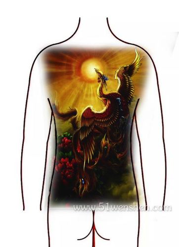 满背凤凰纹身手稿