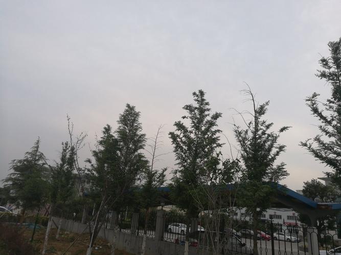 山东省淄博市沂源县青岛路靠近山东德瑞防腐材料有限公司