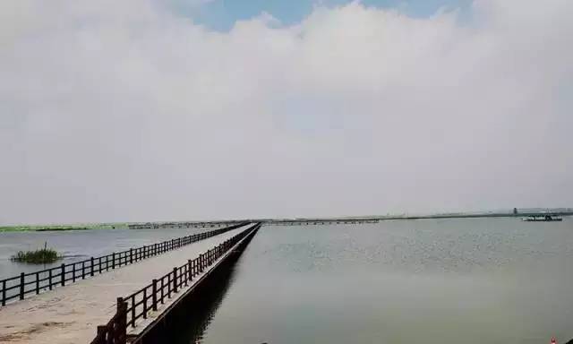 成子湖日落 2,泗阳城南植物主题公园 城南植物主题公园总占地面积380