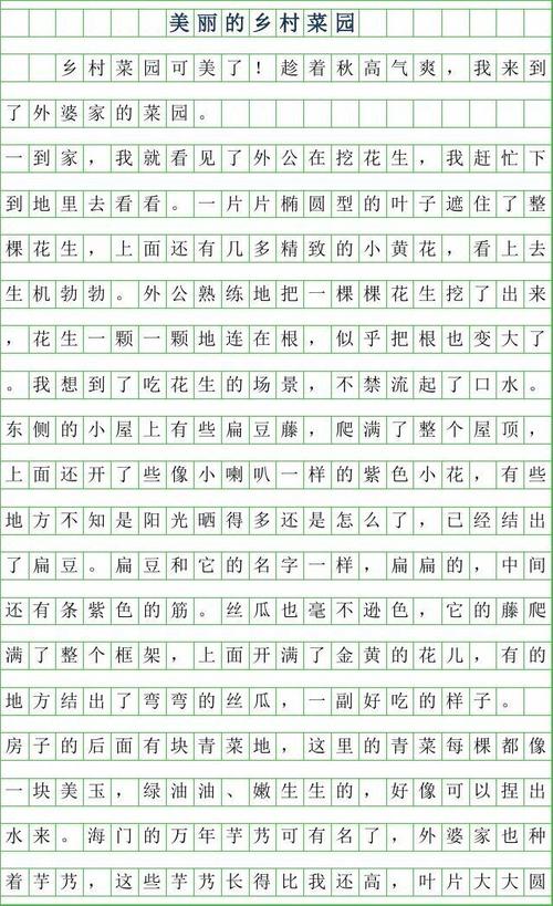 2019年美丽的乡村菜园作文400字