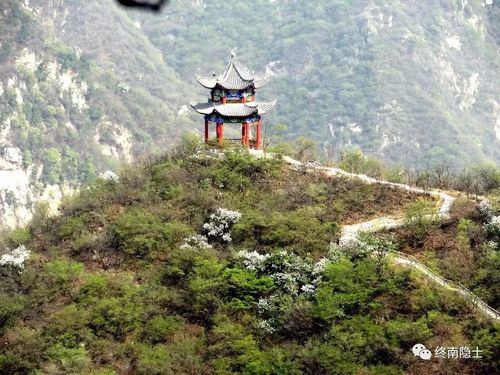 太平万花山风景区-简介