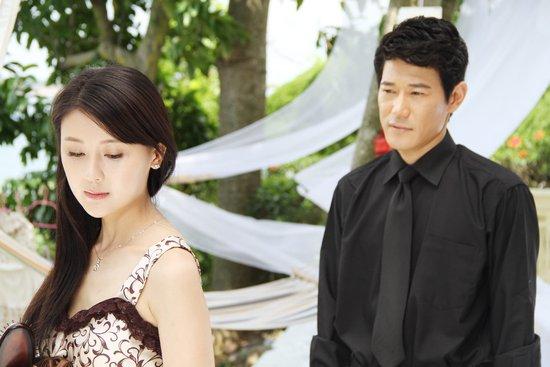 矢野浩二老婆是傅晶吗?