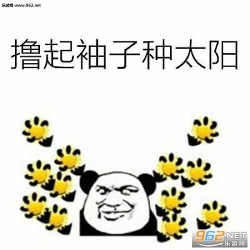 谈恋爱不如种太阳搞笑表情图片-啦啦啦种太阳表情包