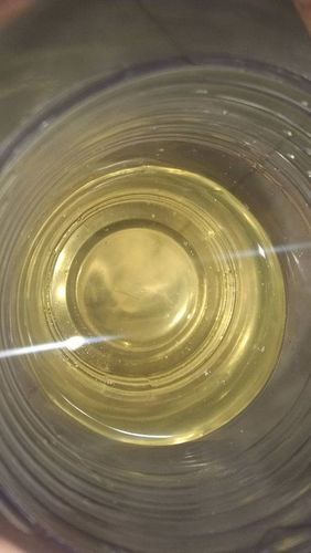 正常的尿液照片_蛋白尿会自己慢慢的好吗