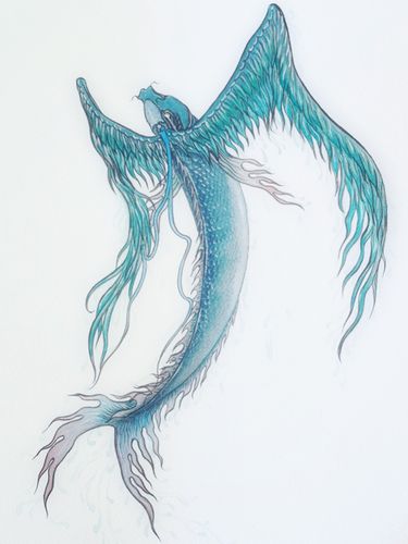 蠃[luǒ]鱼,《山海经》中的.