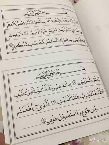 书写……如果是想找一些书的话,我手头倒是有一些……阿语书法书我