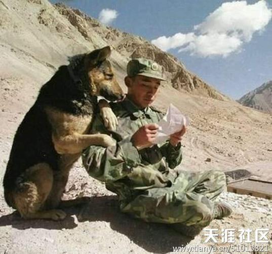 一组军人照片,令人感动