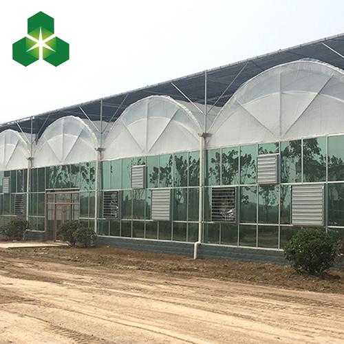抗寒双拱双膜连栋温室 连栋温室大棚 抗寒育苗大棚 双