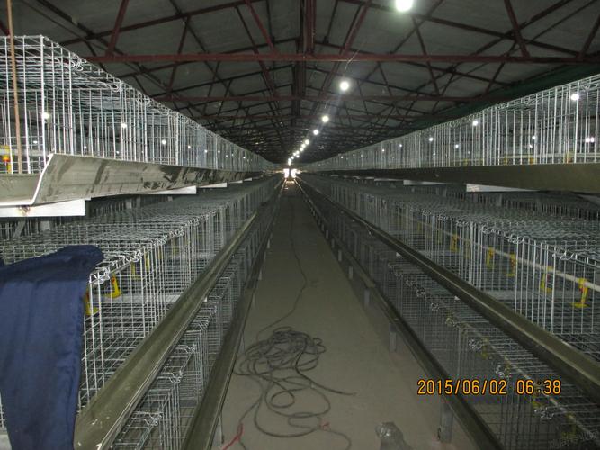 两万只大肉食的鸡舍, 高清图 - 养鸡设备/鸡舍建设