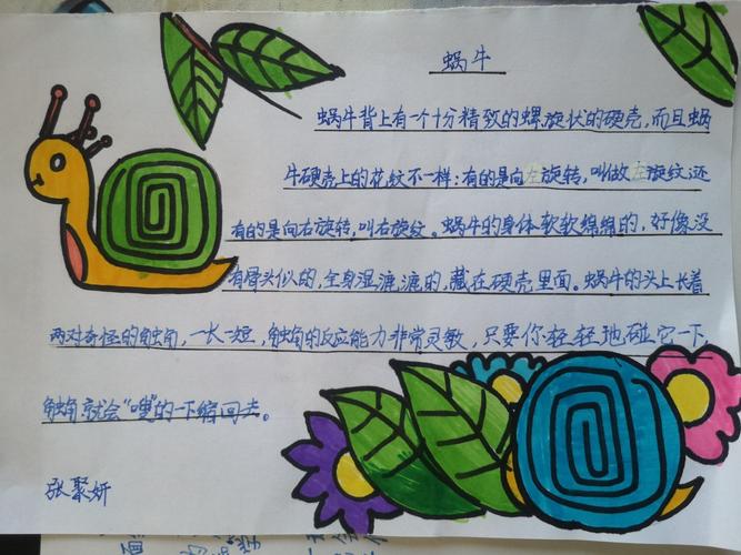 蚂蚁中队昆虫备忘录