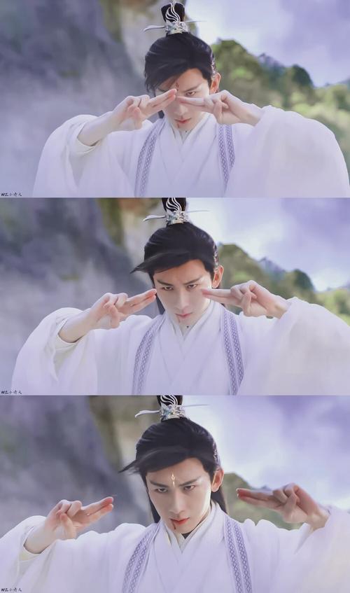 琉璃禹司凤成毅