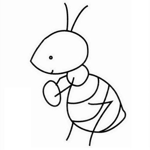 蚂蚁小科普据力学家测定,一只蚂蚁