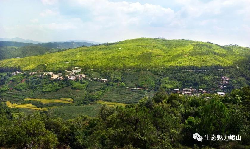 来云南峨山彝人谷听风吹万亩竹海的声音