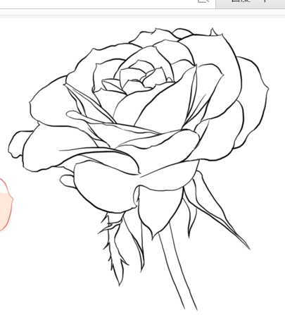 玫瑰矢量图线稿 自截 橡皮章素材