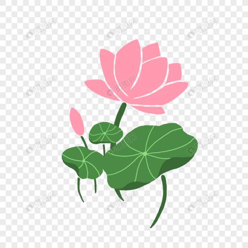 手绘简约装饰图案荷花