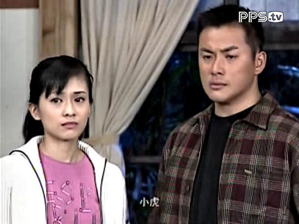 再见阿郎2003年李岳峰执导电视剧