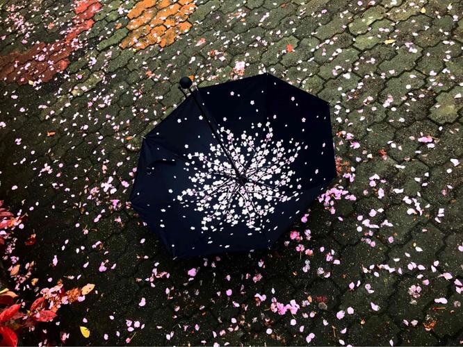 樱花雨|||樱花开落,凋零了多少幻想.