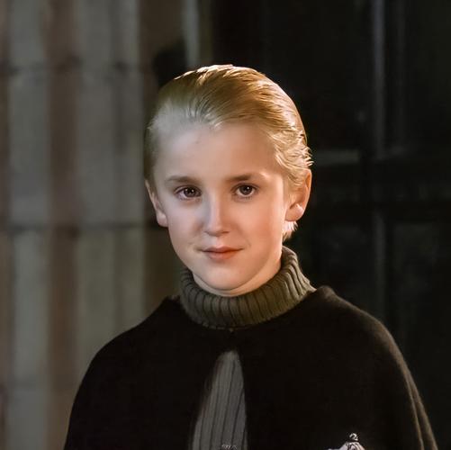 德拉科马尔福壁纸头像少爷帅呆了