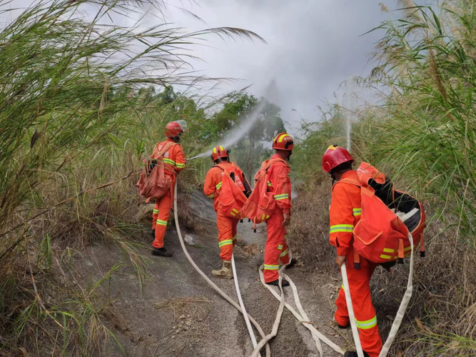 珠海斗门区森林防灭火双盲演练筑牢森林安全防线