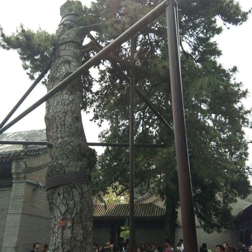 "五一"颐和园之游.