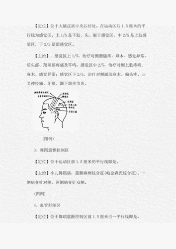 [焦顺发头针穴名体系.doc