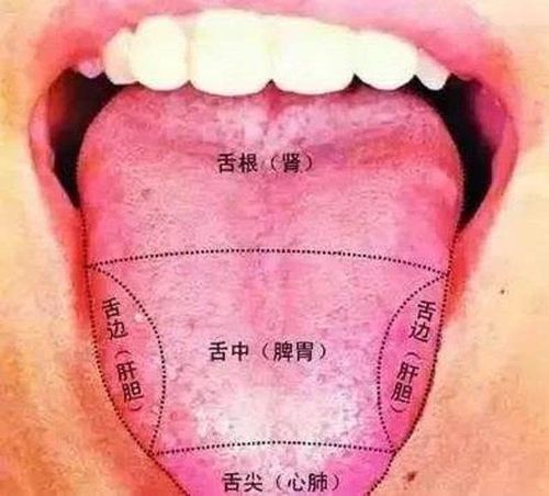 观察舌头就知道!