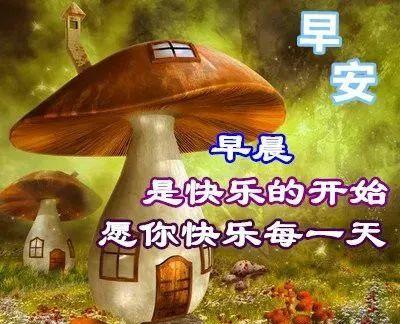 虎年最新微信清晨问候大家早上好的励志心语图片素材