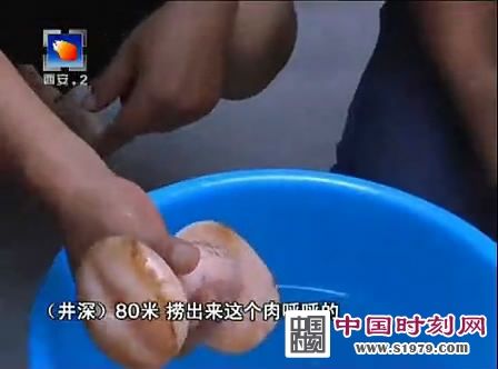 西安电视台女记者误认自慰器是肉灵芝.