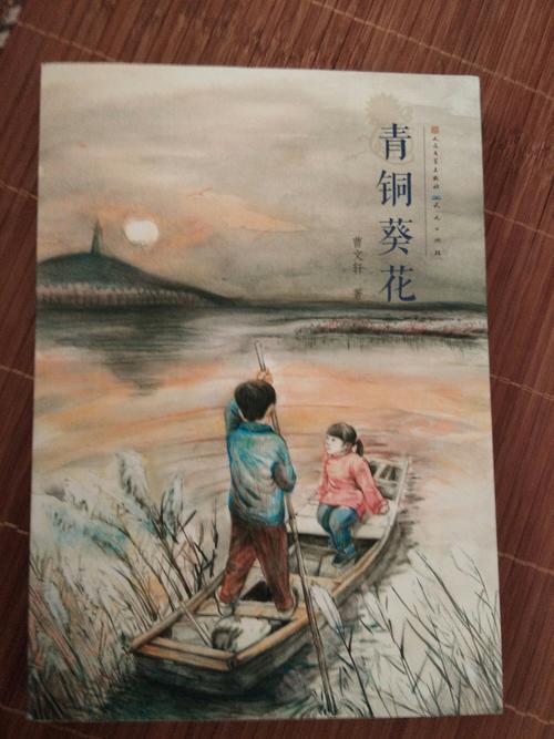 《青铜葵花》读后感--倪乐恬