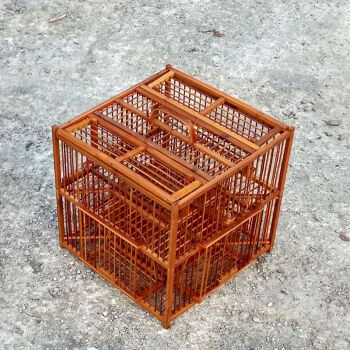 媒子鸟笼 母鸟笼,上山笼 (黄豆升级)大号六门 送胶杯和配重铅皮