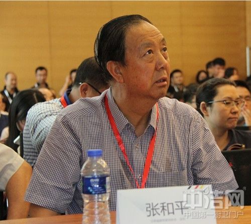 甘肃省装饰行业协会会长张和平