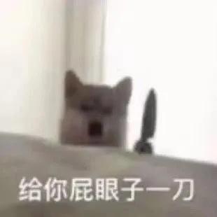 现在这个时间点,有必要等年终奖吗?