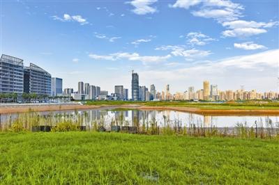新城中心区核心部位的金沙湖公园二期,三期工程已全面完成湖岸挡墙