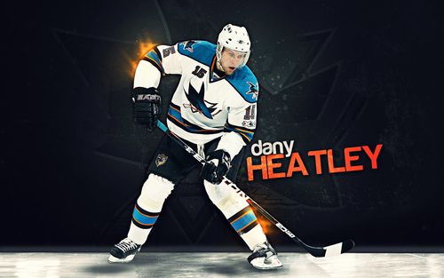 国家冰上曲棍球联盟 nhl