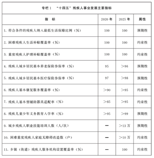 2021年中国残疾人托养中心市场分析报告-行业调研与市场商机研究
