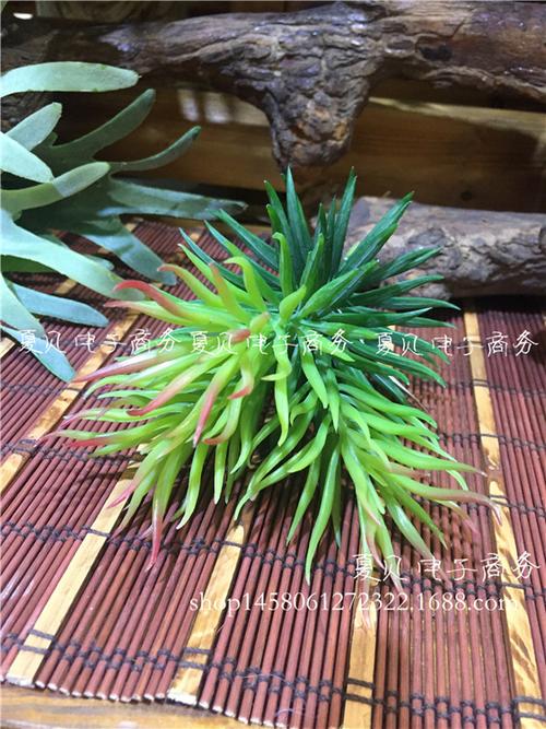 仿真多肉盆栽植物 3叉松针 仿真多肉微景观植物墙相框装饰批发