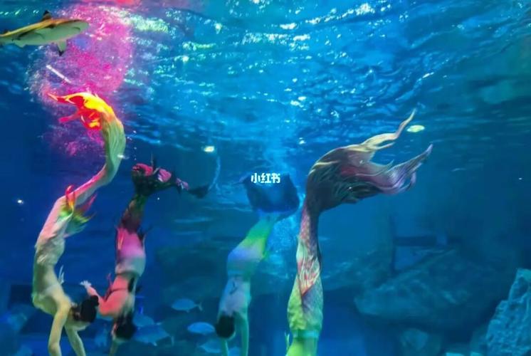 海昌怎么样_海洋公园_水母_成都海昌极地海洋世界_出行_人文风光展示