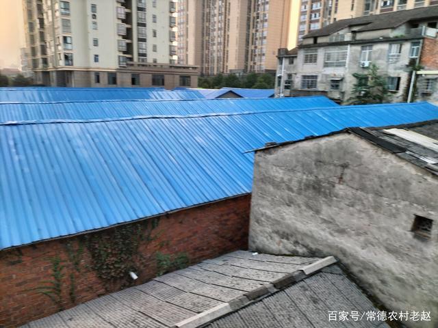 农村使用铁皮瓦搭棚成风千万别图便宜到时候想哭都来不及